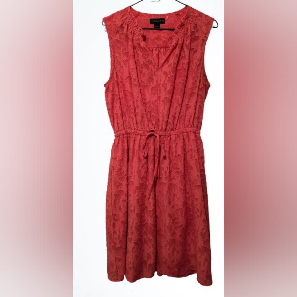 Elegant Lace and Silk Pastel Red Dress